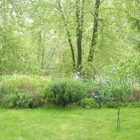 Maison D'hote Rey 3* Puylaurens